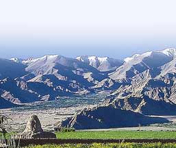 Ladakh Wonder 