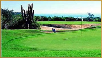 Eminent Golfers in India