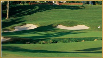 Jaypee Open Amateur