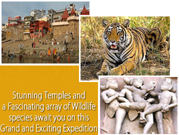 Central India Tour, Central India Classic Tour, India Tiger Tour