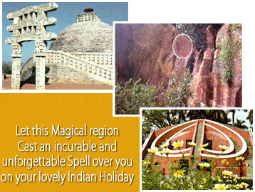Central India Magical Tour