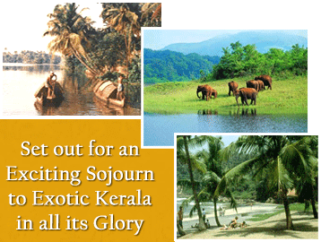 Kerala Tour, Tour To Kerala