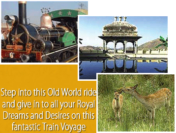Fairy Queen Tour, Fairy Queen Train Tour