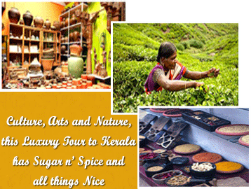 Kerala Spice Tour, Kerala Tours