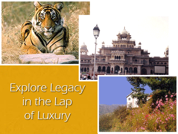 Luxury Tour With Vilases