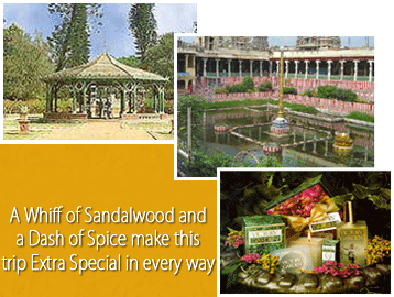 Spices and Sandalwood Tours in South India