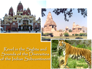 Taj Tiger and Temples