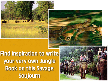 Wildlife In India