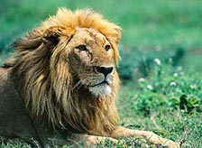 Excursions from Bandhavgarh