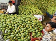 Bazaars in Bhopal