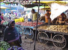 Bazzars in Gwalior