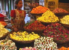 Bazaars in Indore