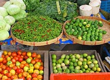 What to Buy in Orchha