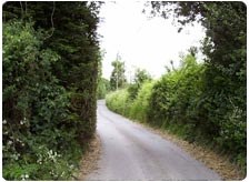 Travel to Madhya Pradesh by Road