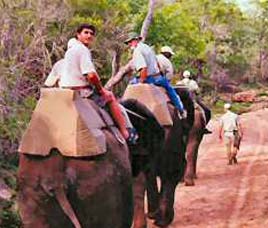 Transport in Manas