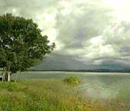 Climate in Nagarhole