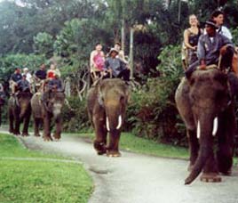 Transport in Nagarhole