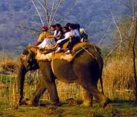 Transport in Namdhapa
