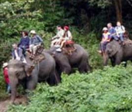 Transport in Nanda Devi National Park