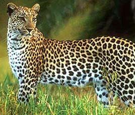 Kishtwar High Altitude National Park