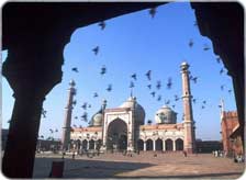 Nearby Attractions of Dara Shikoh Library