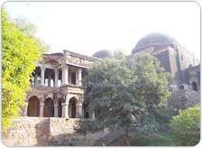 Deer Park in Delhi