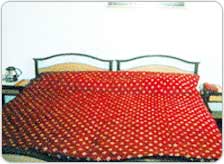 The Sunrise Residency New Delhi