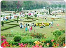Tour to Brindavan from Delhi