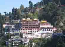 Darjeeling Tour