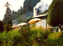 Darjeeling Tour