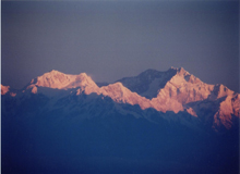 Darjeeling Tour