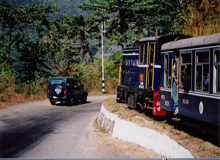 Darjeeling Tour
