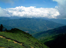 Darjeeling Tour