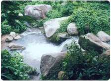 Tour to Chandipur