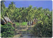 Climate in Orissa