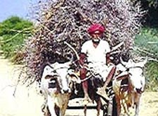Jeypore Tour Packages