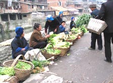What to Buy in Jeypore