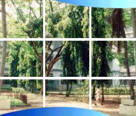 Tourism in Panaji, Tourist Places in Panaji, Panaji Tourism, Tourist Destinations in Panaji, Tours to Panaji