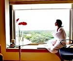 Window View