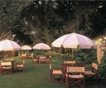 Garden Terrace