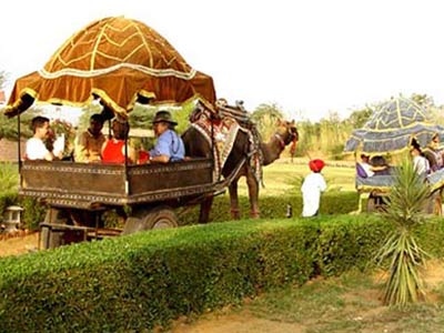 Camel Cart