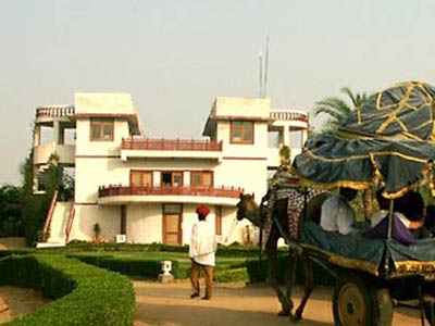 Camel Cart