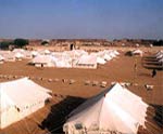 Camps in Pushkar Desert