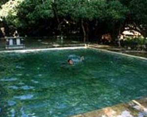 Maharanibagh orchard - Pool