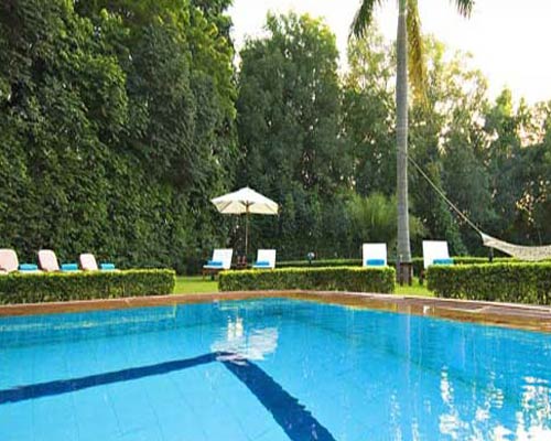 Taj Sawai Madhopur Lodge - Swimming Pool