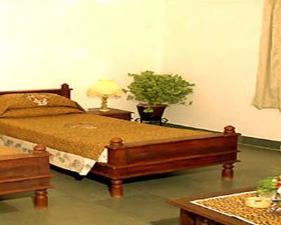 Tiger Den Resort - Room