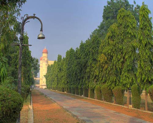 Sariska Palace - Treelined Avenue