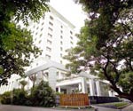 The Raintree
