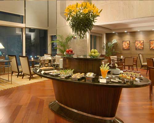 Hyatt Regency Hotel Kolkata - Lounge