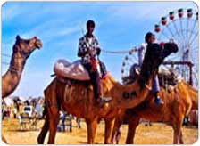 Climate in Pushkar
